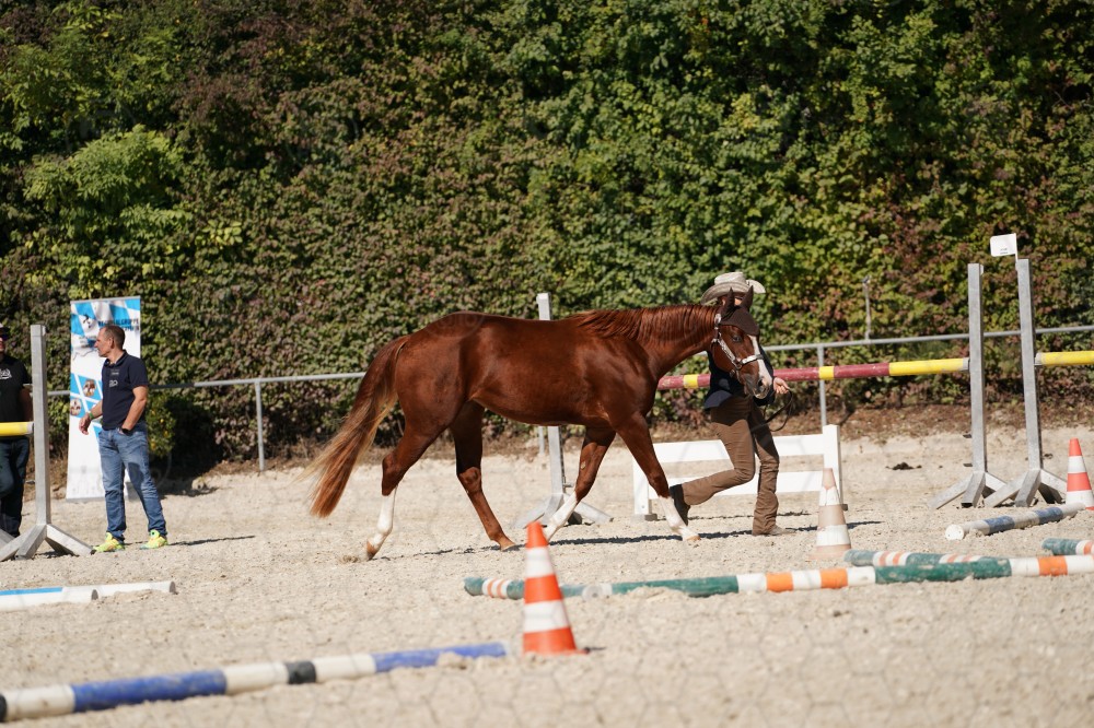 s_A_907737.JPG
